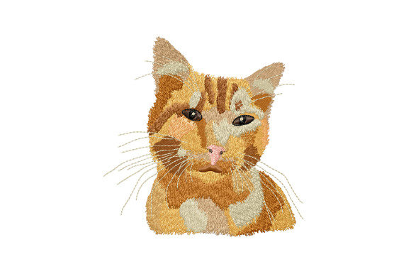 Cute Ginger Cat: A Designer’s Holiday Review
