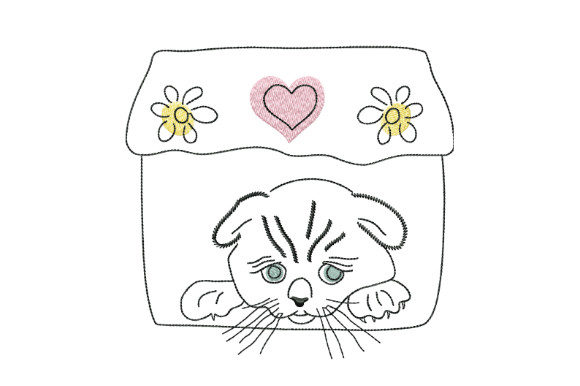 Cute Kitten by the Window: A Designer’s Review