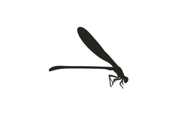 Dragonfly Digitized: A Pro Review for Small Business Merch