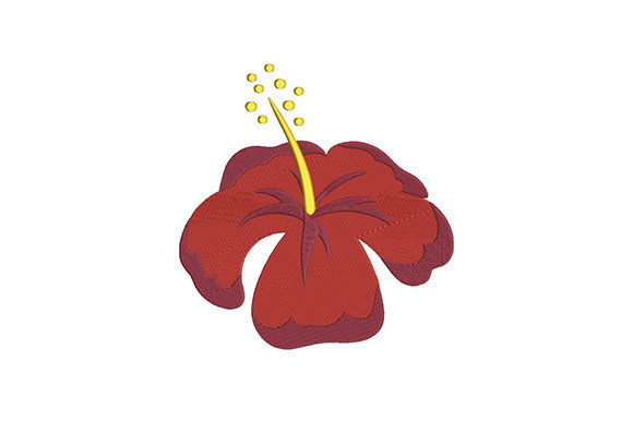 Red Hibiscus Flower: A Designer’s Honest Review