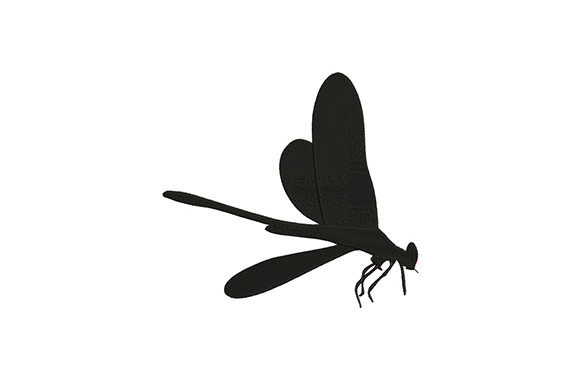 Reviewing Black Bug Dragonfly for Personalized Gifts