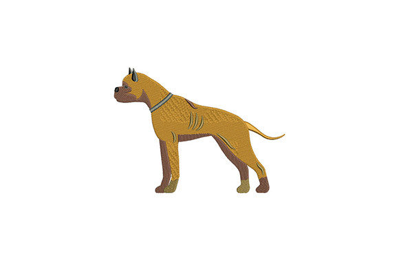 Staffy Terrier: A Designer’s Review for Craft Fair Success